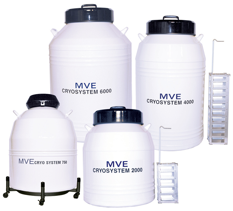 MVEҺ