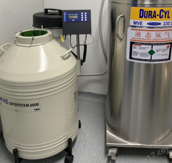 6000系列 6000系列